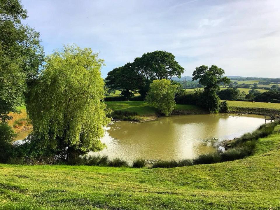 pond pond